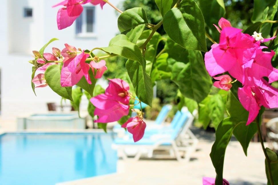 Parla Apart Hotel Çeşme Exteriér fotografie